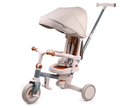 Zippy Blue Tricycle