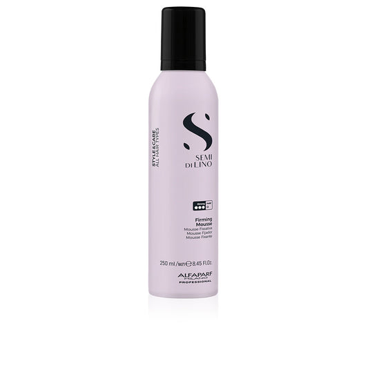 STYLE & CARE mousse fijador 250 ml