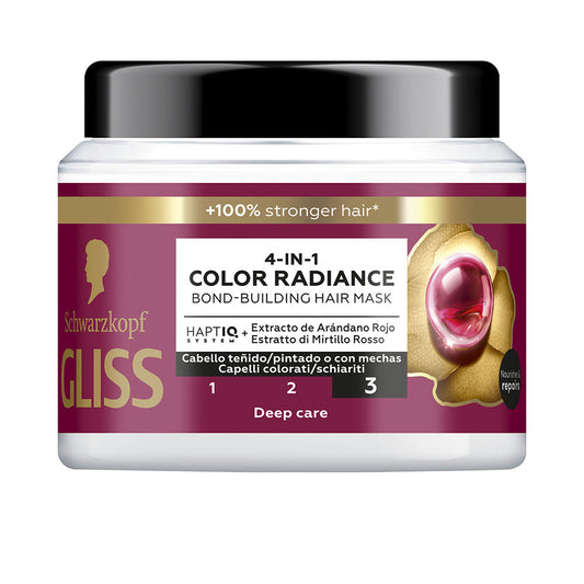 GLISS COLOR PERFECTOR mask 400 ml