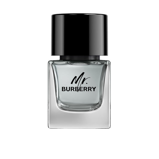 MR BURBERRY edt vapor 50 ml
